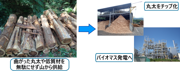 7 エネルギーをみんなにそしてクリーンに